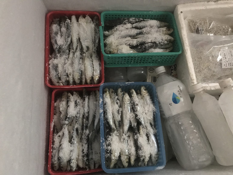 太刀魚テンヤ釣りの餌 イワシ丸身 の作り方 釣り船角田